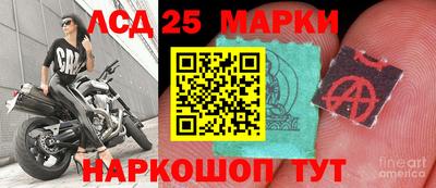 прущие грибы Бердск