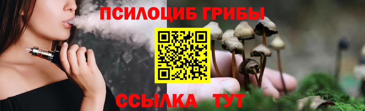 Псилоцибиновые грибы GOLDEN TEACHER Нурлат